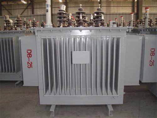 白城S13-100KVA/10KV/0.4KV油浸式变压器